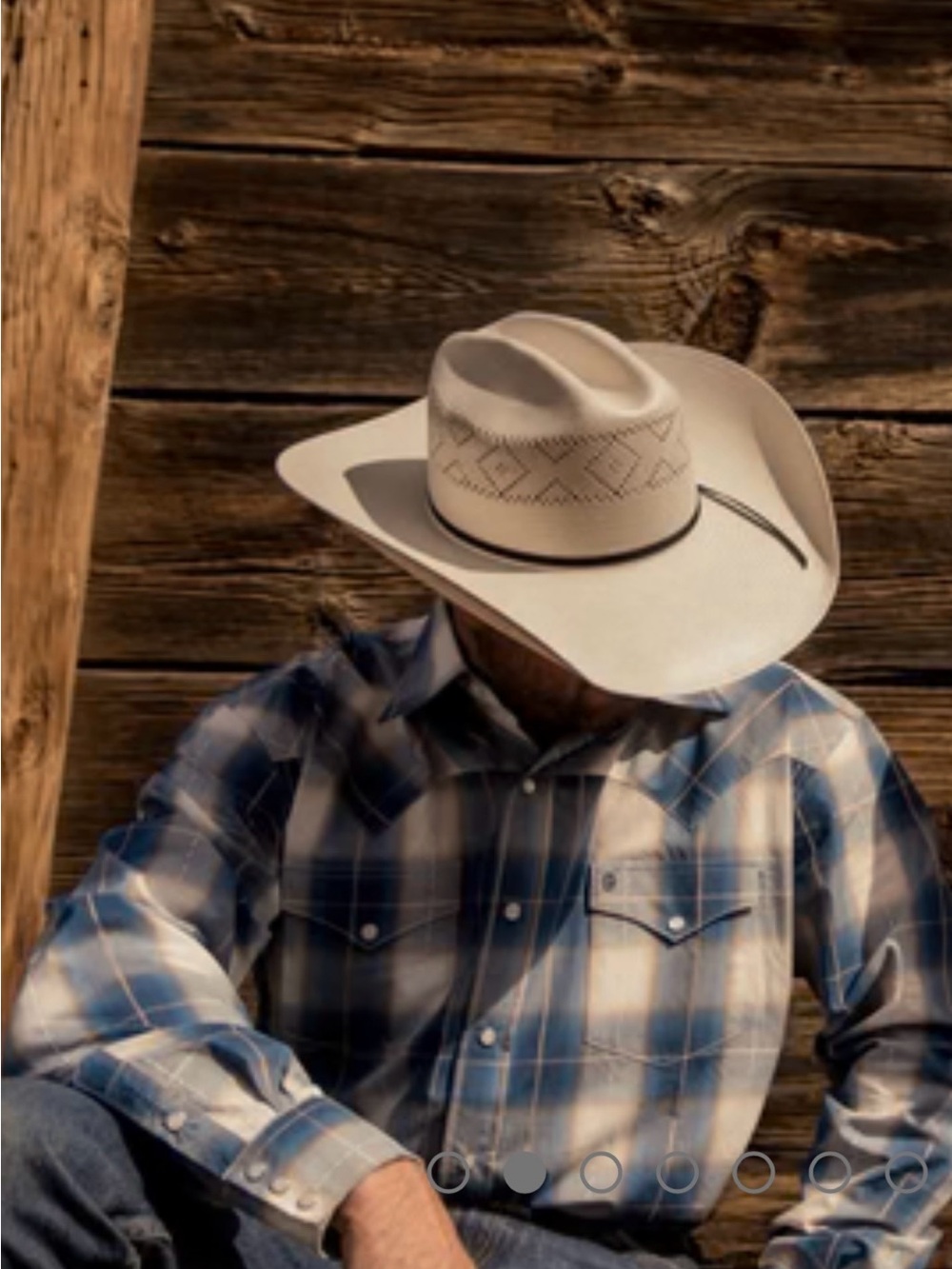 Stetson Blue and White Plaid Western Shirt